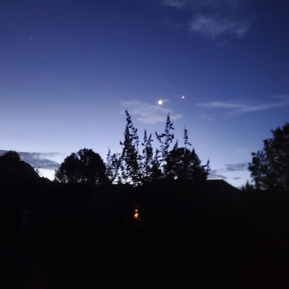 Meet your Posher, Kaycee - Picture 2 of 2